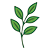 Branch